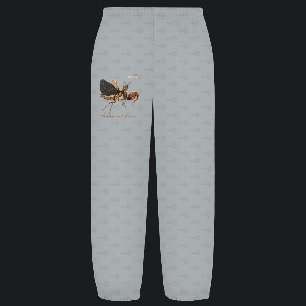 Kuschelige Unisex Sweatpants | Riesenboxermantis Astyliasula phyllopus