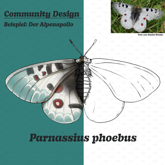 Community-Design Service: Deine Wunschart als exklusives Shop-Motiv!