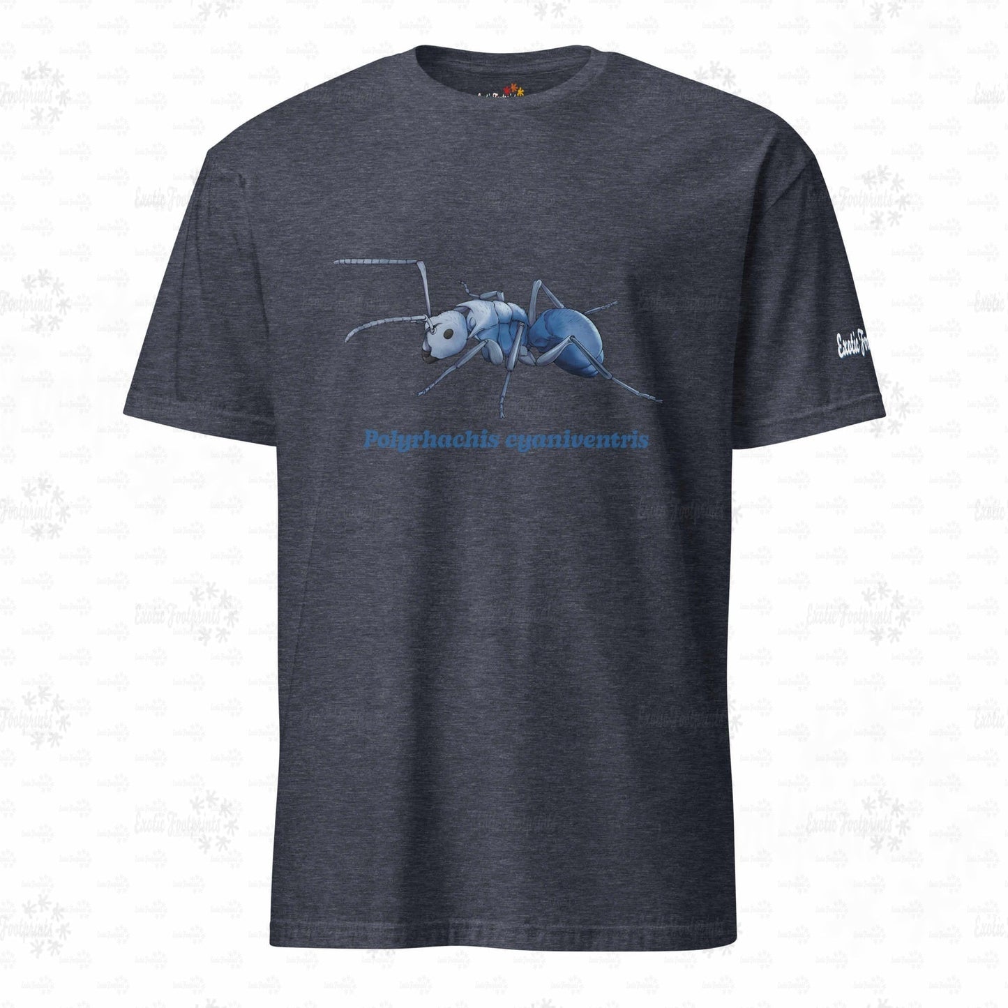 Leichtes T-shirt | Blau schillernde Schuppenameise ( Polyrhachis cyaniventris )