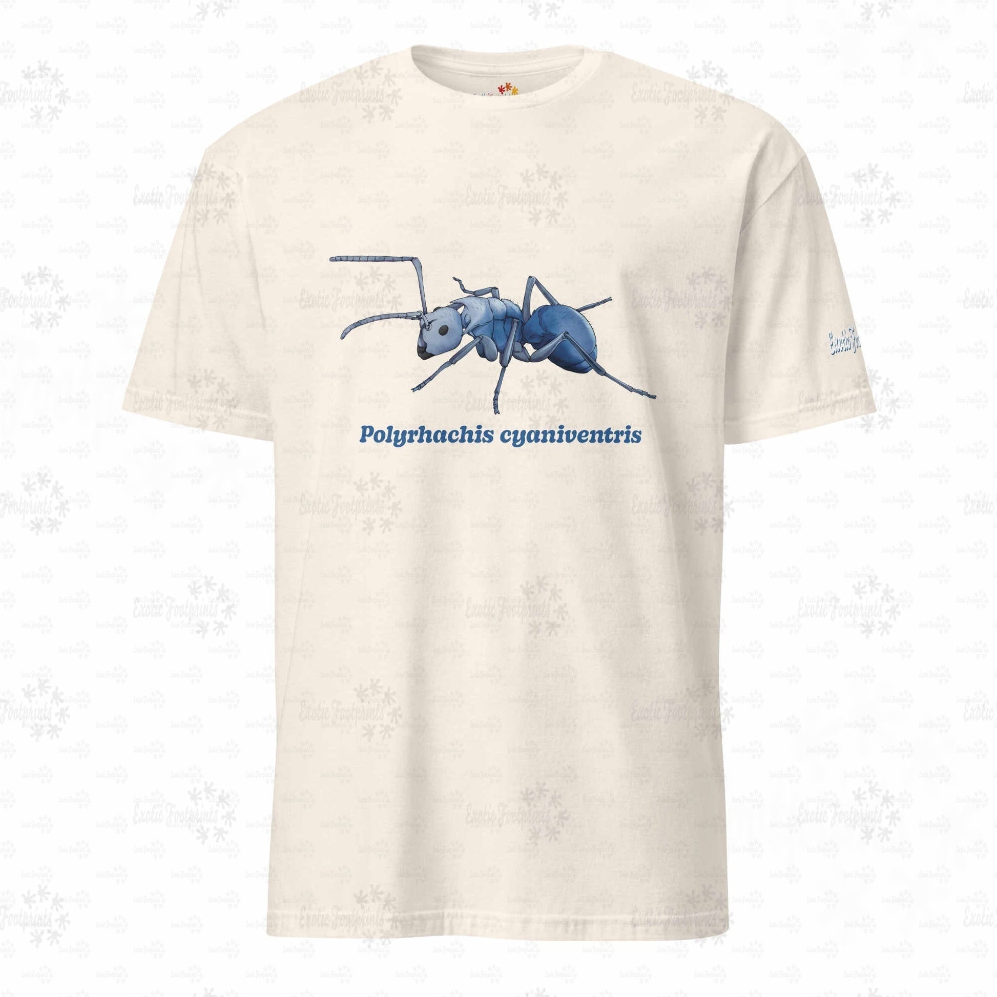 Leichtes T-shirt | Blau schillernde Schuppenameise ( Polyrhachis cyaniventris )