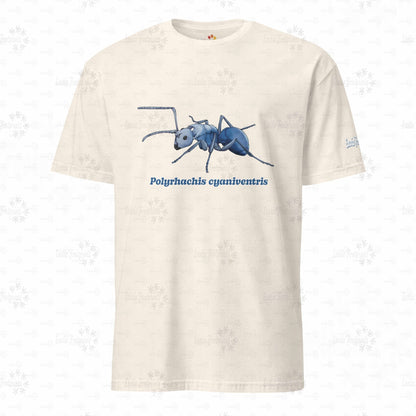 Leichtes T-shirt | Blau schillernde Schuppenameise ( Polyrhachis cyaniventris )