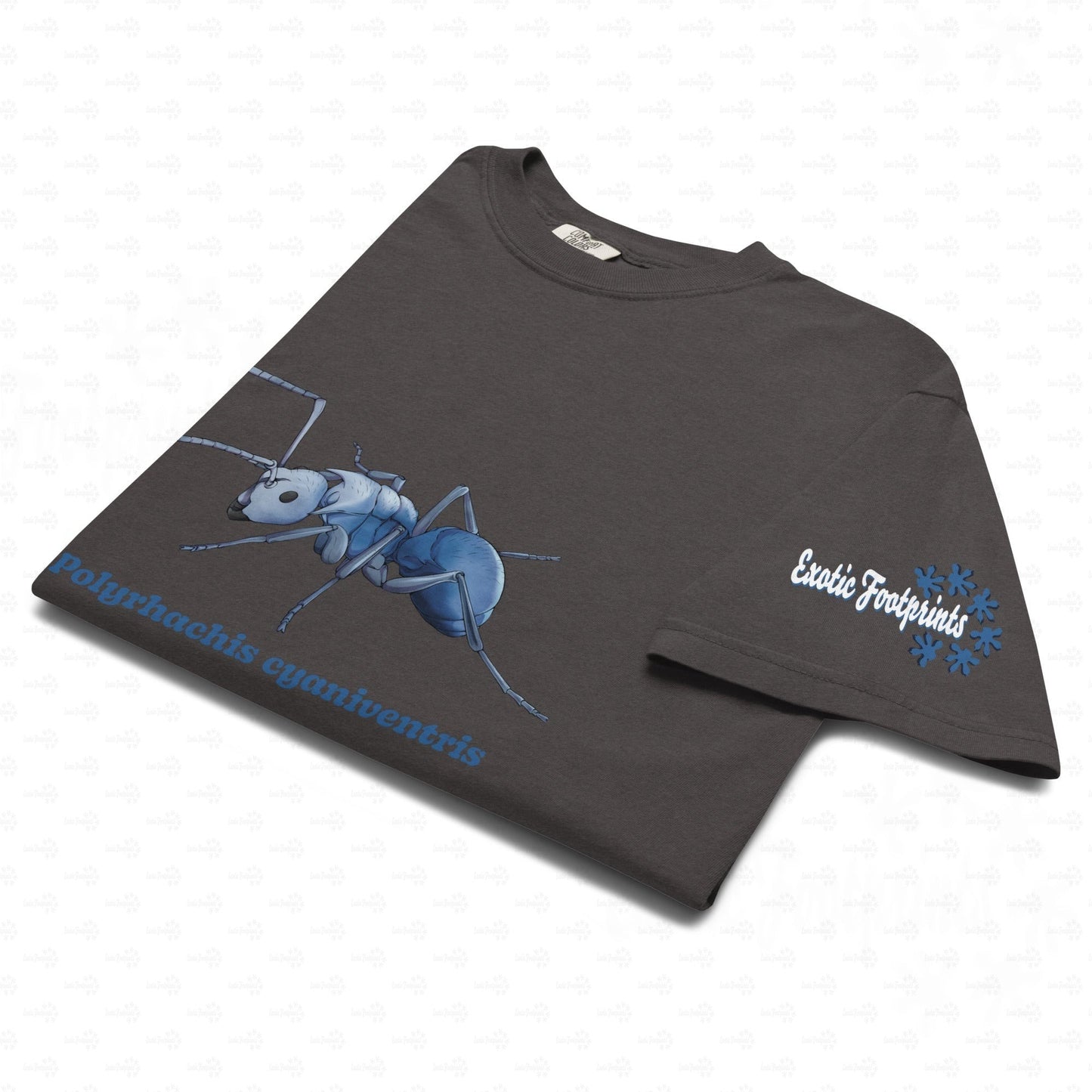 Dunkles Schweres Unisex-T-Shirt | | Blau schillernde Schuppenameise ( Polyrhachis cyaniventris )