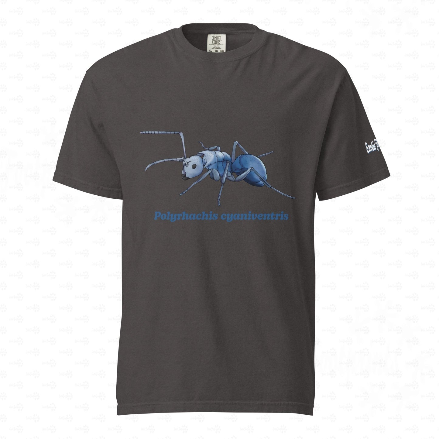Dunkles Schweres Unisex-T-Shirt | | Blau schillernde Schuppenameise ( Polyrhachis cyaniventris )