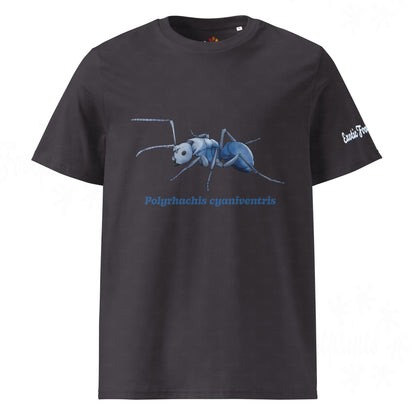 Bio Baumwoll T-shirt | Blau schillernde Schuppenameise ( Polyrhachis cyaniventris )