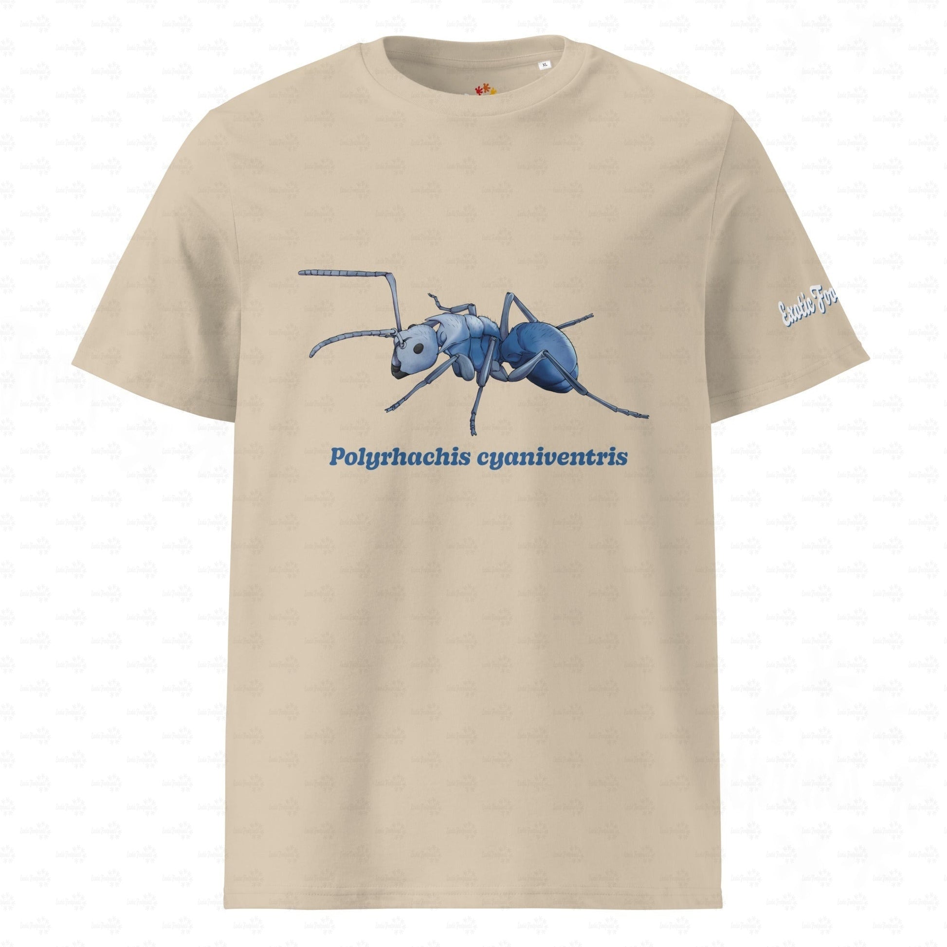 Bio Baumwoll T-shirt | Blau schillernde Schuppenameise ( Polyrhachis cyaniventris )