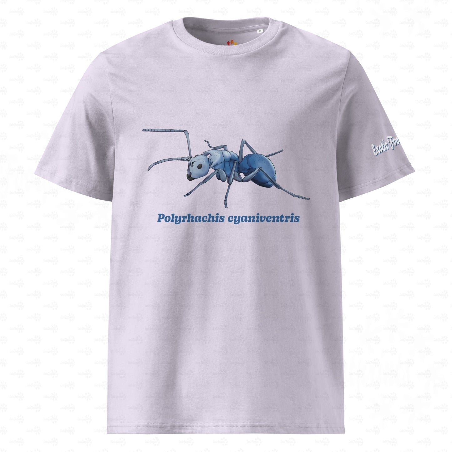 Bio Baumwoll T-shirt | Blau schillernde Schuppenameise ( Polyrhachis cyaniventris )