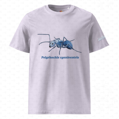 Bio Baumwoll T-shirt | Blau schillernde Schuppenameise ( Polyrhachis cyaniventris )